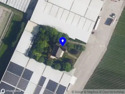 W.A.M. Pennings Export B.V. Noordwijkerhout