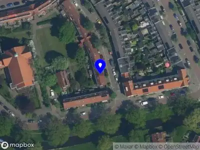Tijs van gaalen Haarlem