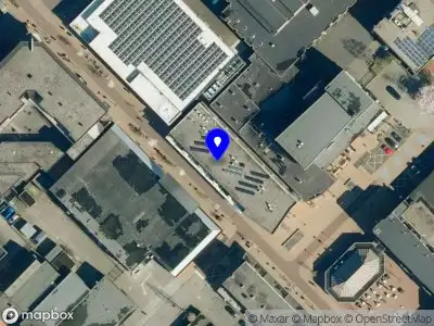 Salon NF DeLuxe Dieren