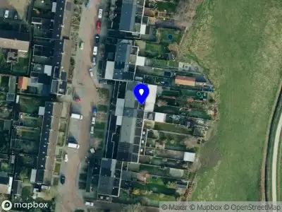 Woef training en advies