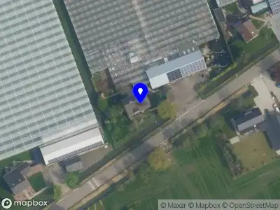 Kwekerij fmmcet Pijnacker