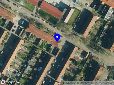 Flamingo bestrating Enschede