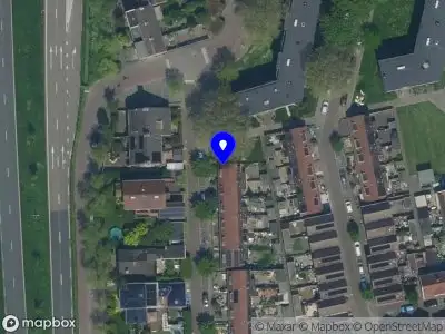Mimosa Schoonmaak Koog aan de Zaan