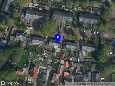 Nieuw bedrijf Studio Maan & Mos