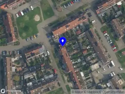 Petra Wilbrink coaching en training