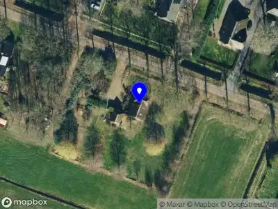 Best companion woodworks