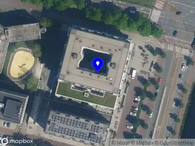 Coconut Skin Cosmetics