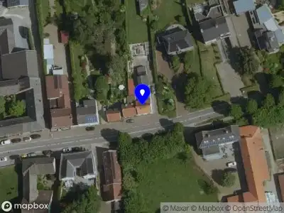 Buntinx Boomverzorging Groenbeheer