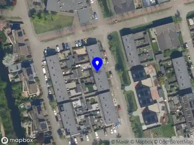 Terra's Tint Artistry