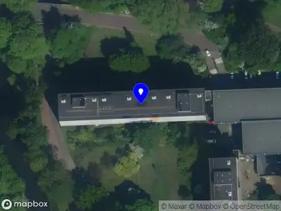 Zhangs Healing Hands