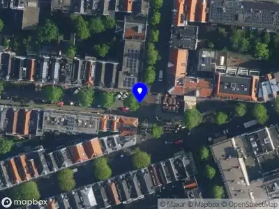 Dragonfly Advisory & Coaching Amsterdam