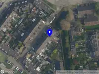 De verdwaalde ooievaar