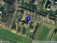 Best companion woodworks