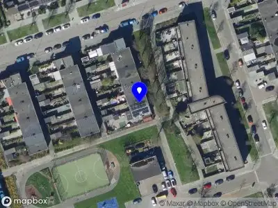 Happy Holistic Horse