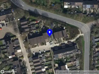 PROGRAM.INTERNATIONAL