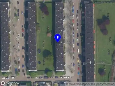 Green Rebel Official