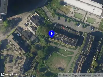 Anne Marije Coaching & Supervisie