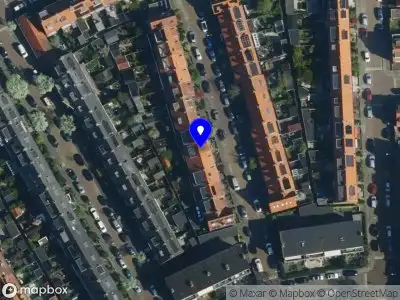 DINO training coaching education