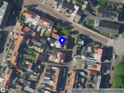 KAHU Dog Walk And Service