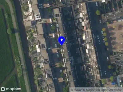 Dance Entertainment by Caitlyn Kaylee