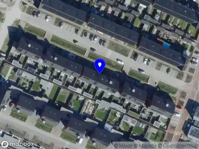 Stacy Holt Marketing