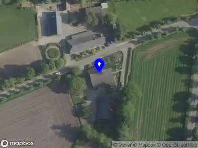 Guane Sint-Oedenrode