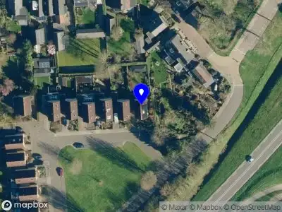 Meraki Coaching Tree