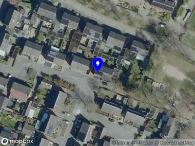 Shedy sport en coaching