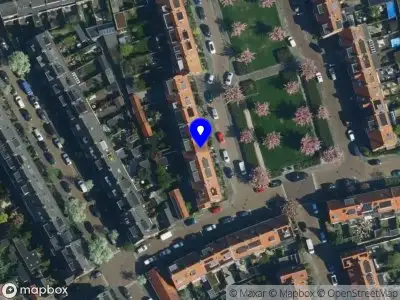 Tindra Beweegwijs Haarlem