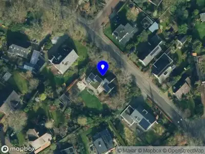 Canopy Interim management & advies