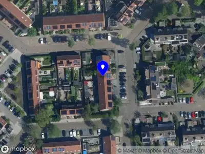 Nieuw bedrijf Little lellu