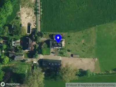 Orange Lion Creations