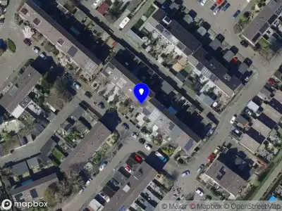 Ask Twigt SPIJKENISSE