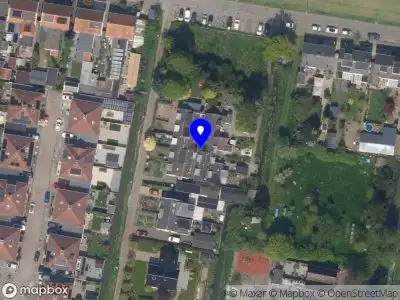 Susanne Lepelaar tattoos Rotterdam