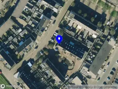 Stichting Câine Rescue