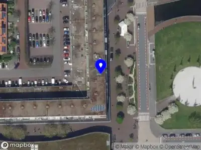 Nieuw bedrijf Blue Jacaranda Studio