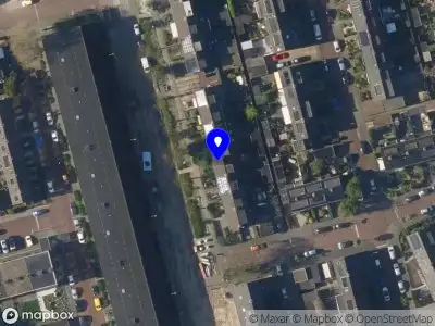 Nieuw bedrijf Parrots life