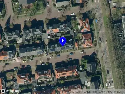 Milou Nibbeling Consulting Arnhem