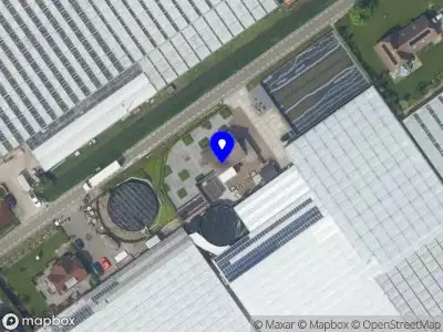 Zonneveld Snijhortensia's