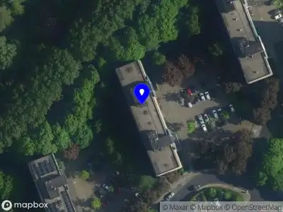 Nieuw bedrijf La Sacerdotisa Films