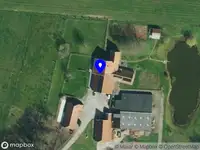 Tess Paul Horse & Health