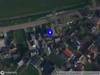 Tamarisk Boomverzorging Visvliet
