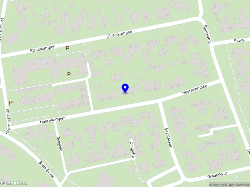 St. Vrienden Drentse Heideschaap Balloerveld