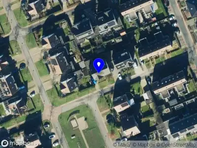 Natuurlijke hondencoaching