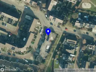 Inzicht door Paarden Hengelo