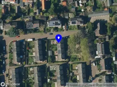 Stichting Automutilatie, oorzaak en gevolg