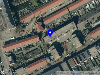 Miso Petrovic Arnhem