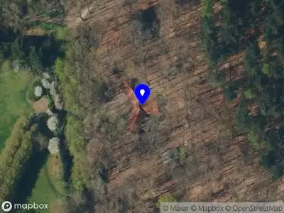 Scouting Die Wiltgraeff