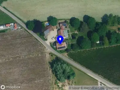 Oleg Lysenko Musicus