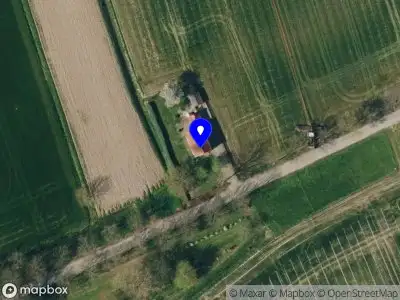 P. Hamelink jr. Elst